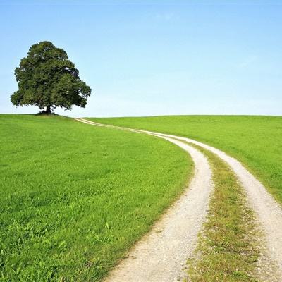 奇异果体育下载手机版