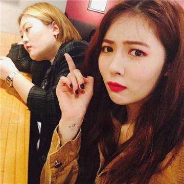 半岛手机网页版登录